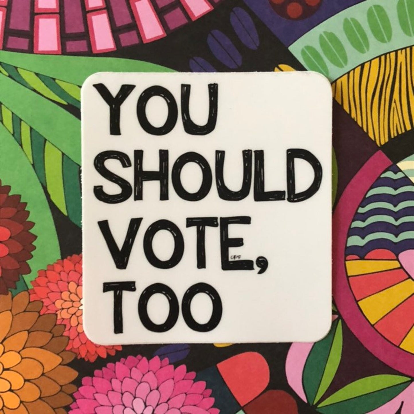 You Should Vote, Too